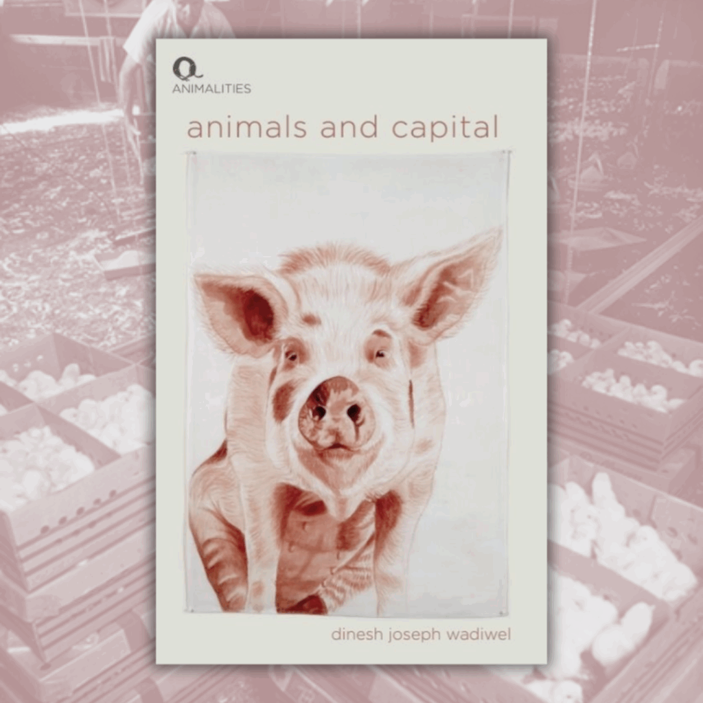 Animali e Capitale // Dinesh Wadiwel